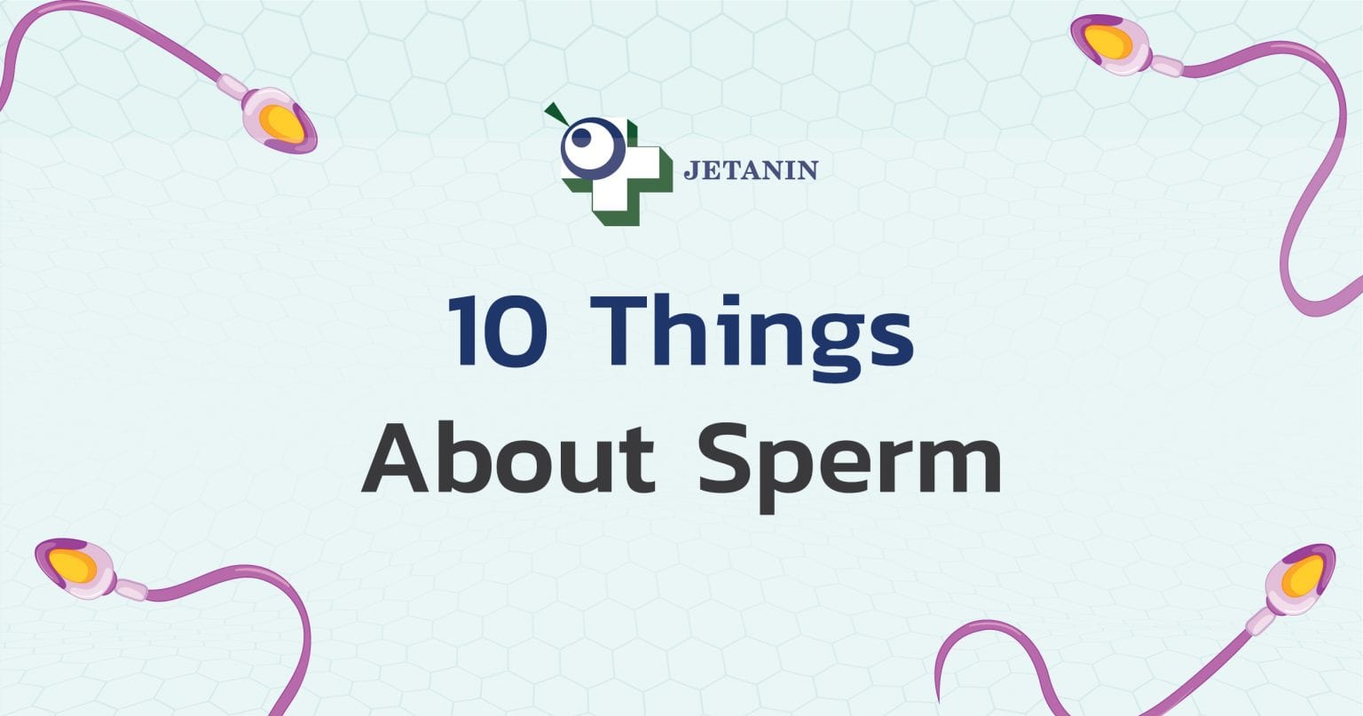 production How long for sperm